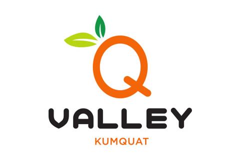 Q VALLEY 