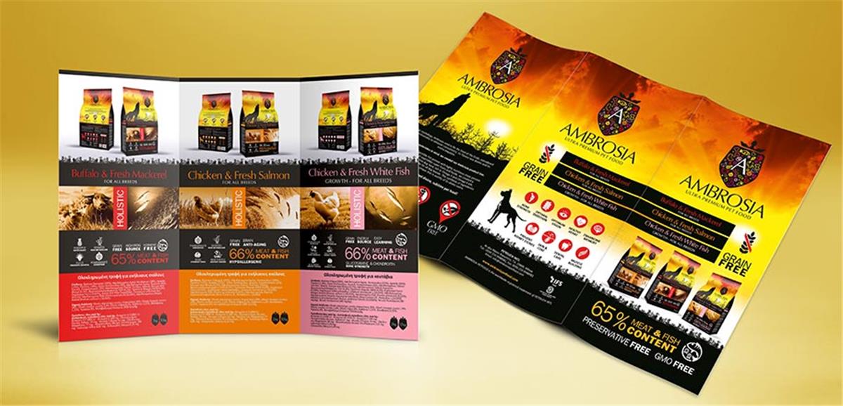 Advertising flyers design