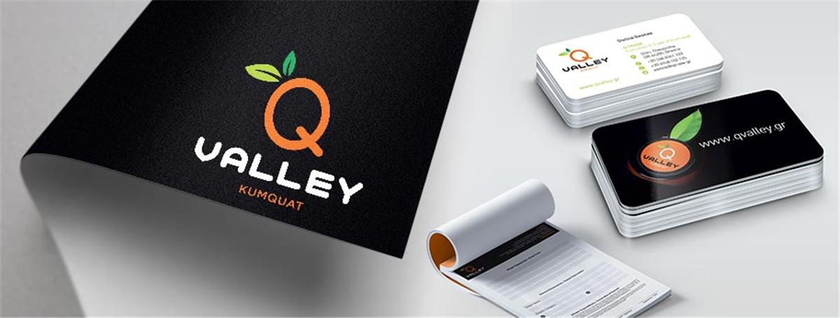 Q-VALLEY λογότυπο