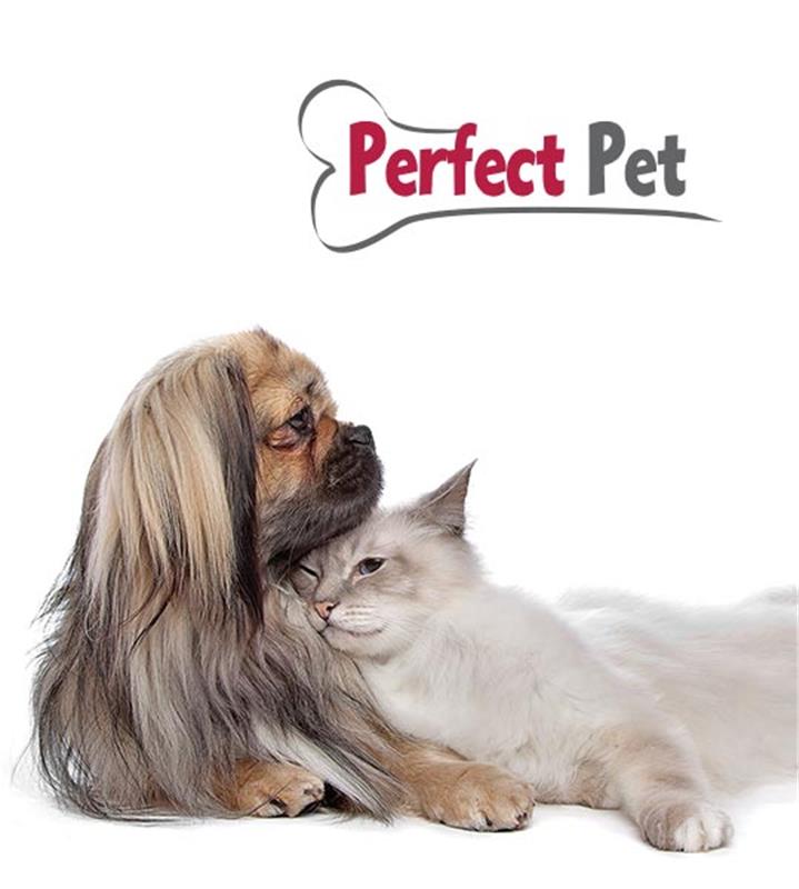 PERFECT PET GRAPHICS DESIGN